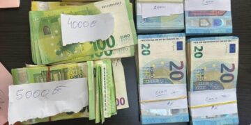 Fshihte 30 mijë euro në kamion, kapet në kufirin e Vërmicës
