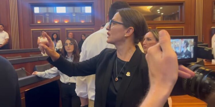 Deputetja e PDK-së për Kurtin: Po i çon deputetët një e nga një për me heq vëmendjen nga keqmenaxhimi