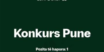 Loni Dekor hap konkurs pune, kërkohet njohja e gjuhës gjermane