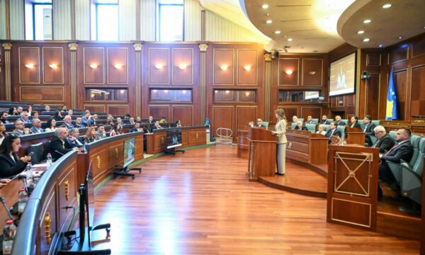 Kushtetuesja “udhëzon” deputetët: Jepjani popullit një President përfaqësues e simbol të unitetit
