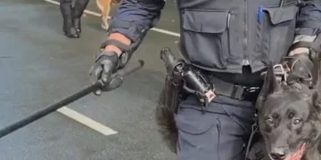 Arrestime në Hagë, policia holandeze i përdor edhe qentë kundër protestuesve shqiptarë