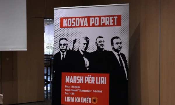 Ellis: Aktgjykimi mund të sfidohet si në fakte, ashtu edhe në ligj