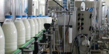 Qumështarët dhe shoqata e tyre kërkojnë që Ministria dhe AUV të autorizojnë më shpejt prodhimin – alarmojnë për humbjet