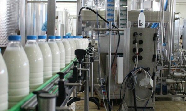 Qumështarët dhe shoqata e tyre kërkojnë që Ministria dhe AUV të autorizojnë më shpejt prodhimin – alarmojnë për humbjet