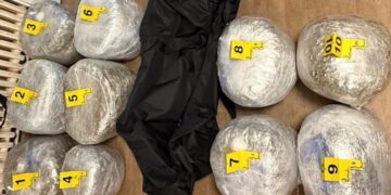Arrestohen dy të dyshuar dhe konfiskohen mbi 50 kg lëndë narkotike