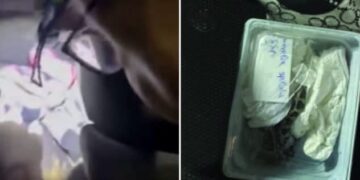 Gjarprinj të mbështjellë me pëlhura tentohen të futen ilegalisht në RMV, shofer shtetasi i Kosovës
