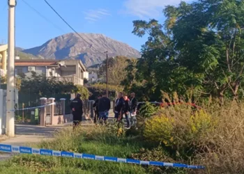 Tragjedi: Burri vret gruan me armë, pastaj vetën