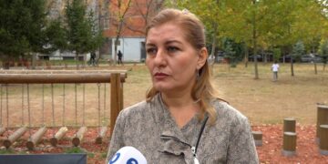 Lama: Kriza politike ia ka dëmtuar rëndë imazhin Kosovës, duhet të rikuperohen raportet me SHBA-në