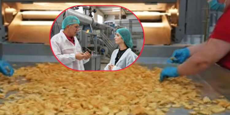 Si prodhohen çipsat “VIPA”, prej vjeljes deri te paketimi? (Video)