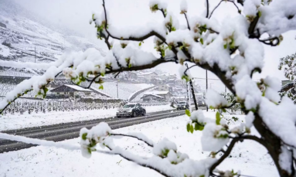 Vjen dimri në Zvicër: Deri në 40 centimetra borë në Alpe, temperaturat bien ndjeshëm