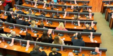 Vrasja e Arlinda Zekajt, Kuvendi merr këtë vendim