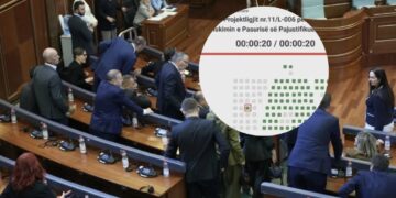 Ky është deputeti i vetëm nga PDK që votoi pro Projektligjit për Byronë Shtetërore